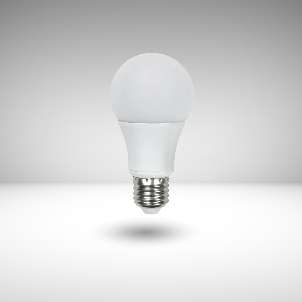 Light Bulbs & LED Retrofits