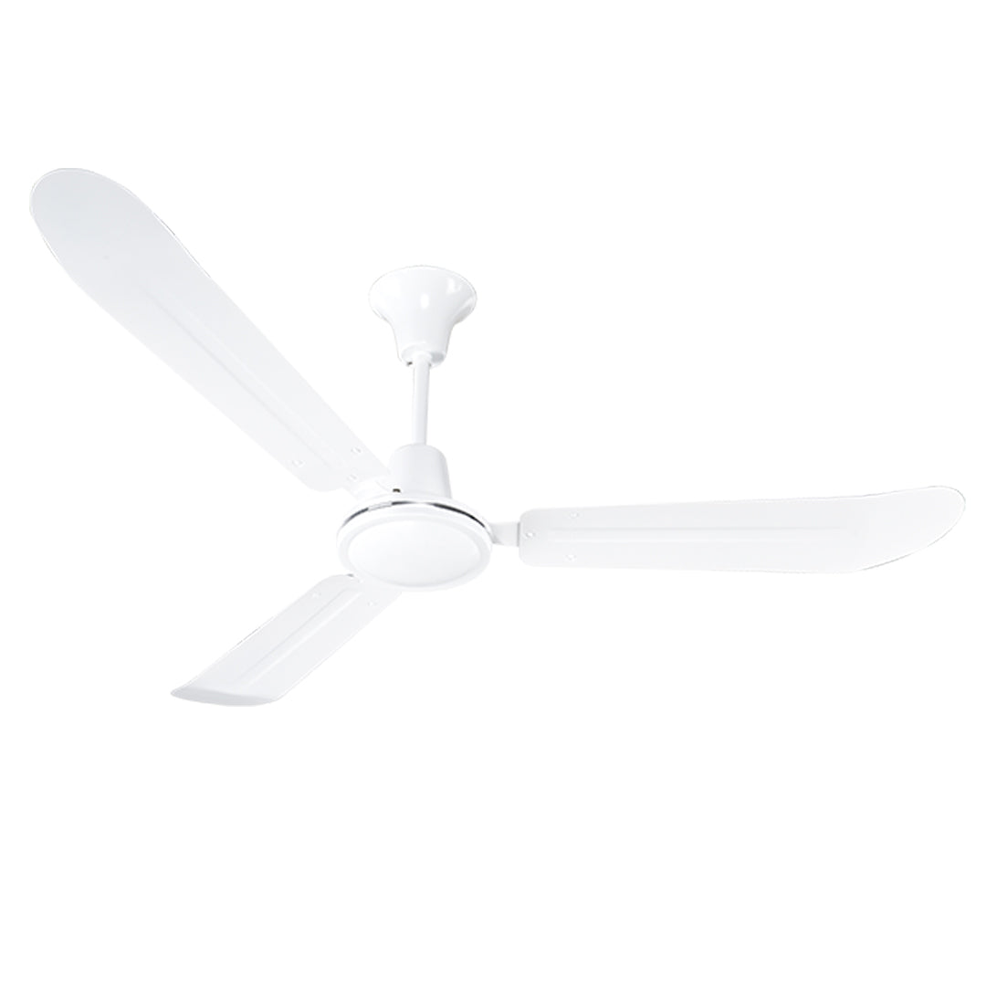 BAN-FP56R_1 - f8f45371-14aa-4e01-9a9c-8075ff4081fe.jpg