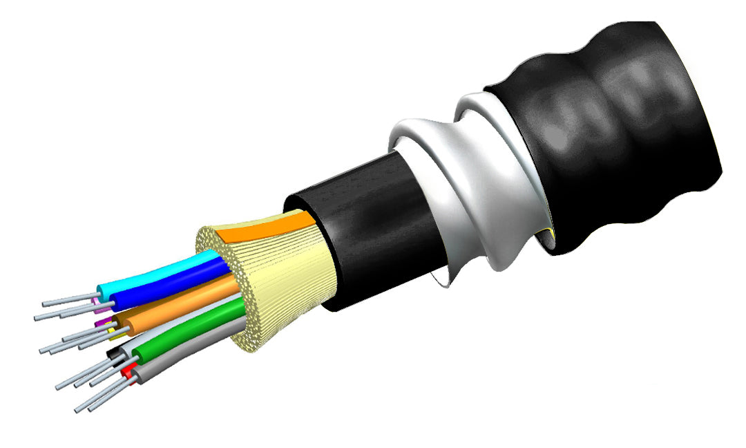 CMS-760134858_1 - 36d2b3d9-1118-47f1-adb8-00cc7971ad2e.jpg
