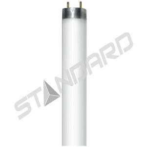 F32T841KG13STDESVBULK_1 - 39c17f8a-6893-4df0-8fc6-75fd407676c4.jpg