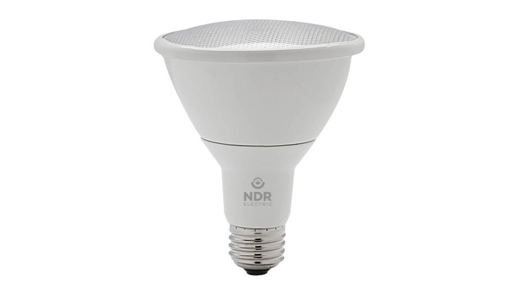 LEDPAR30LN3K13W_1 - d3bed717-4a3c-4c1c-abd5-c8fb2d96fcdd.jpg