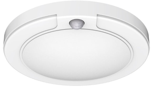 Surface &amp; Pendant Lights