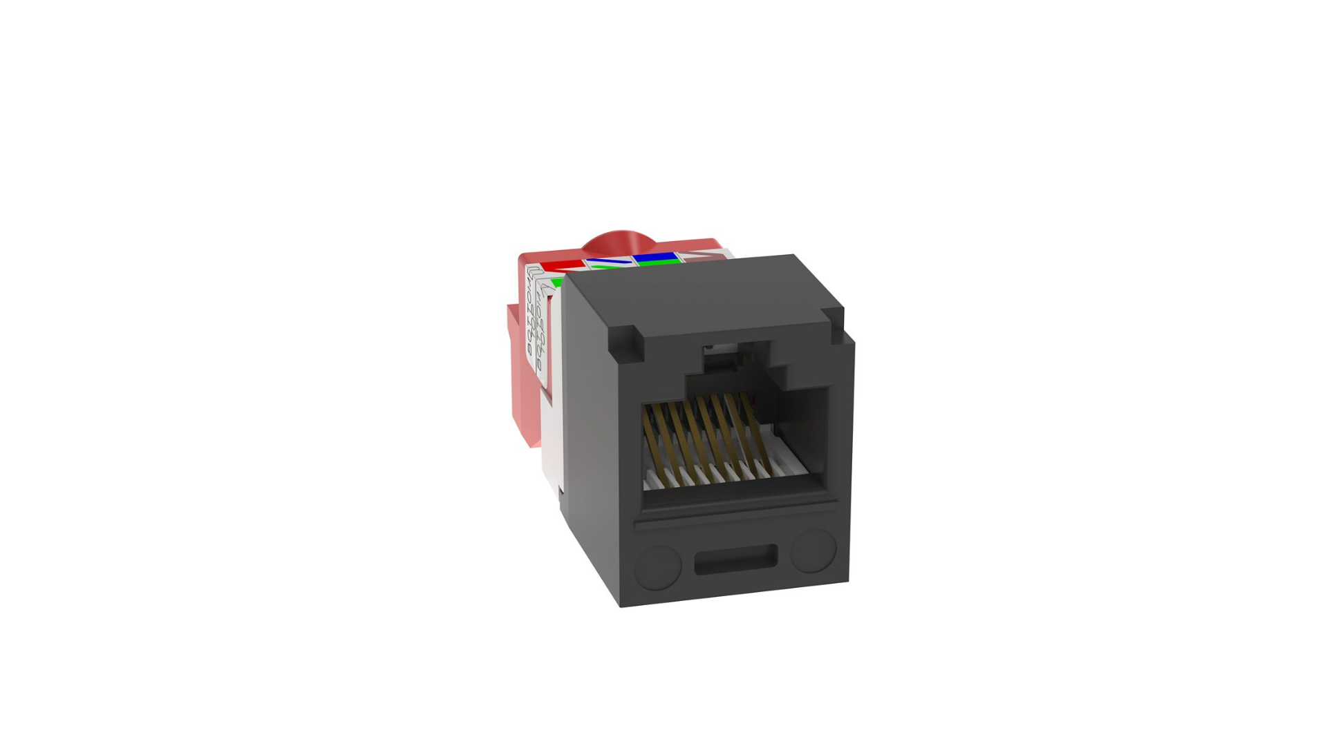 PAN-CJ5E88TBL_1 - bfe5b263-1b73-4269-aa8e-2c2783c614ba.png
