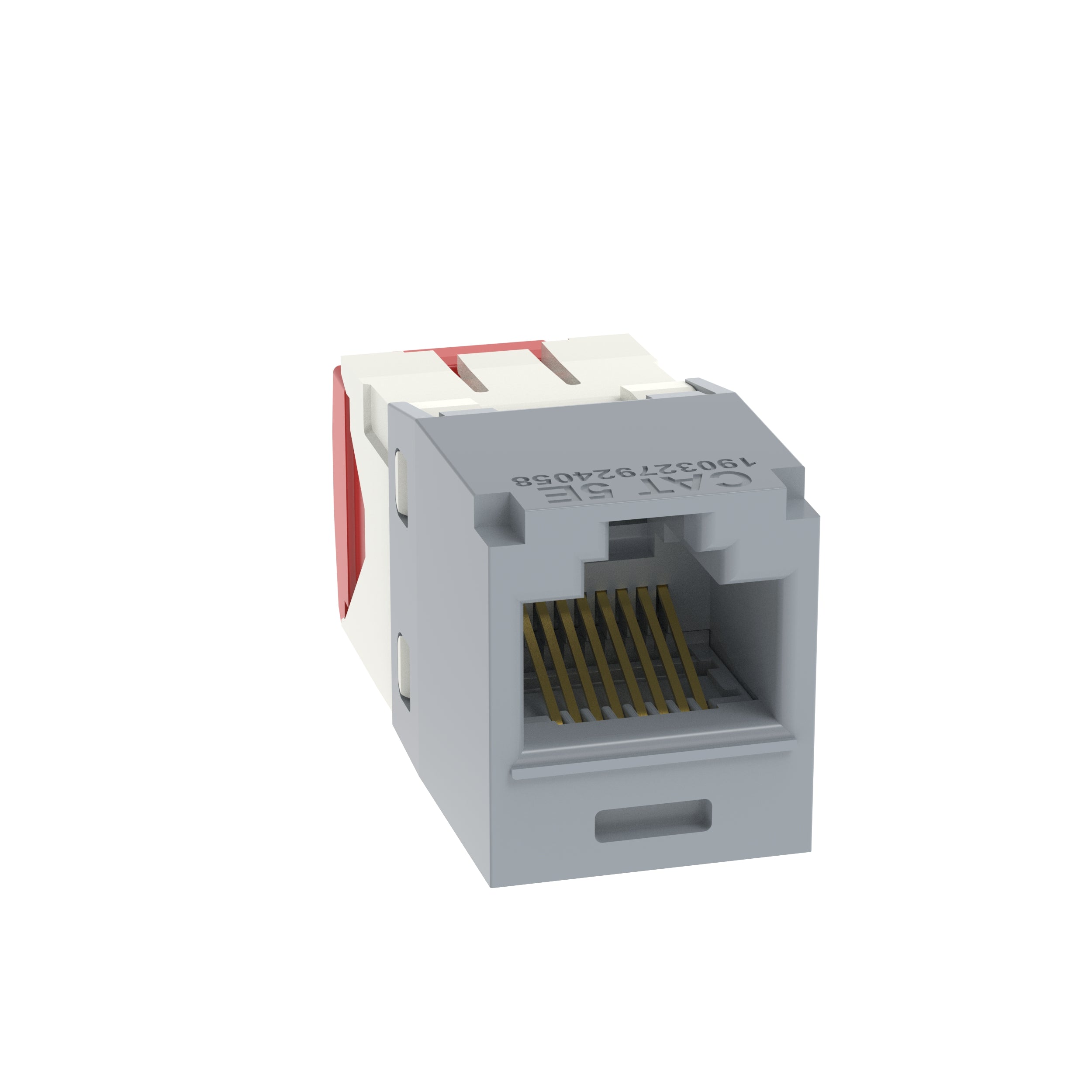 PAN-CJ5E88TGIG_1 - 891cd919-892d-4f63-b2b5-5eb3e05fd98c.jpg
