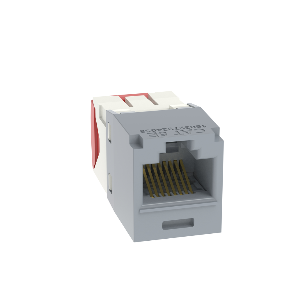 PAN-CJ5E88TGIG_1 - c12b32e0-f29b-4bd5-945f-51271b9df9d0.png