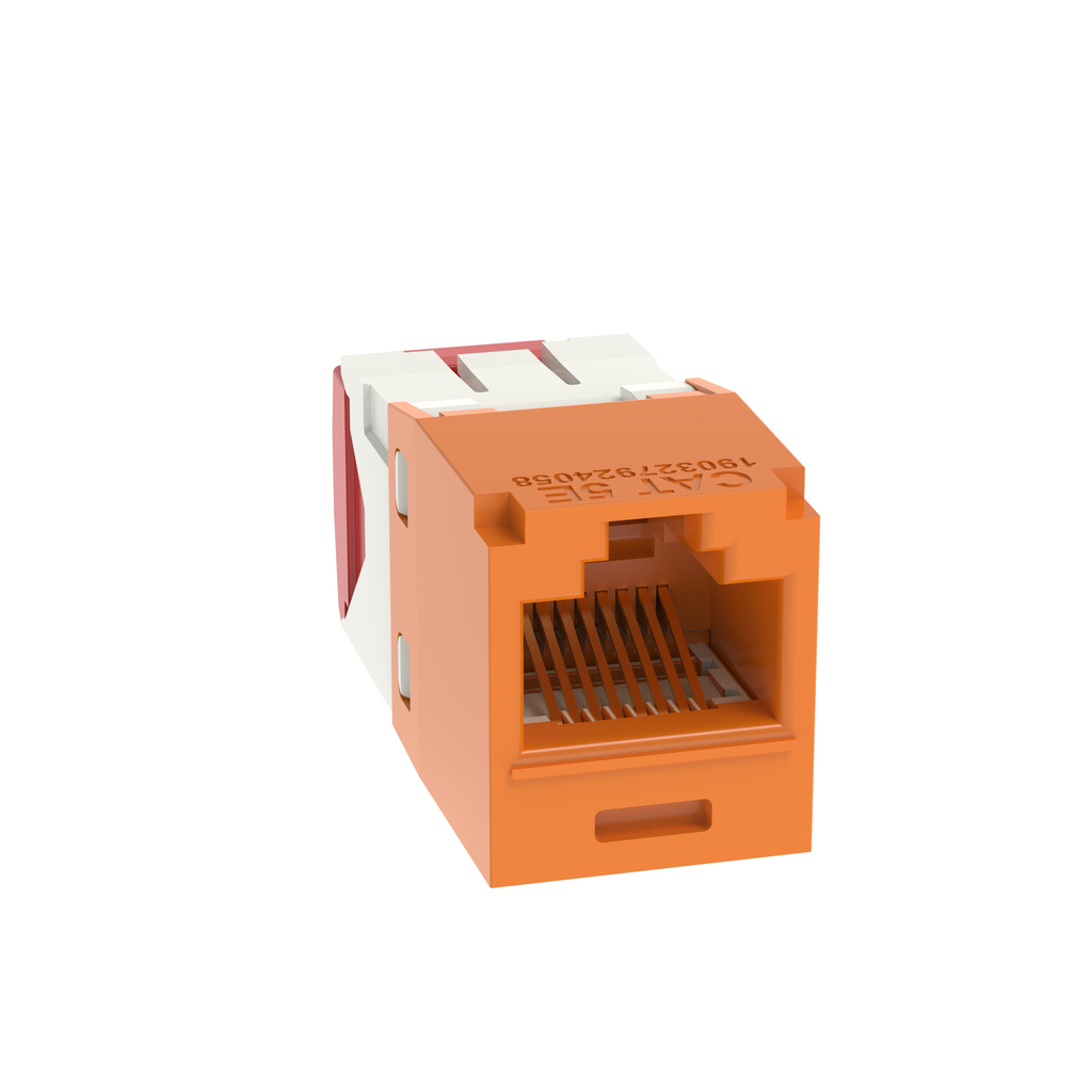 PAN-CJ5E88TGOR_1 - 1c6dcb3d-6d9f-44dd-9a2b-2a971f2cb3d7.png