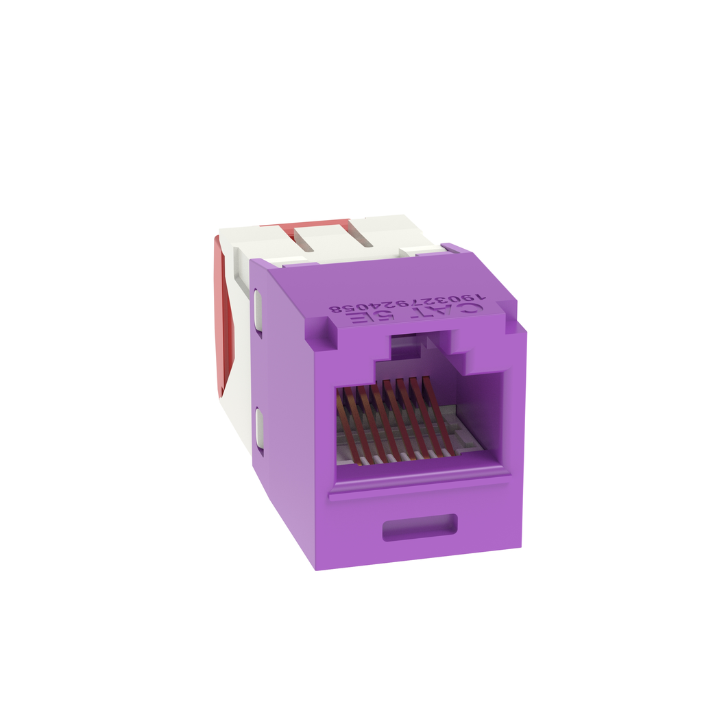 PAN-CJ5E88TGVL_1 - 4b545849-ca4c-4a2c-a302-3f8a642e2698.png