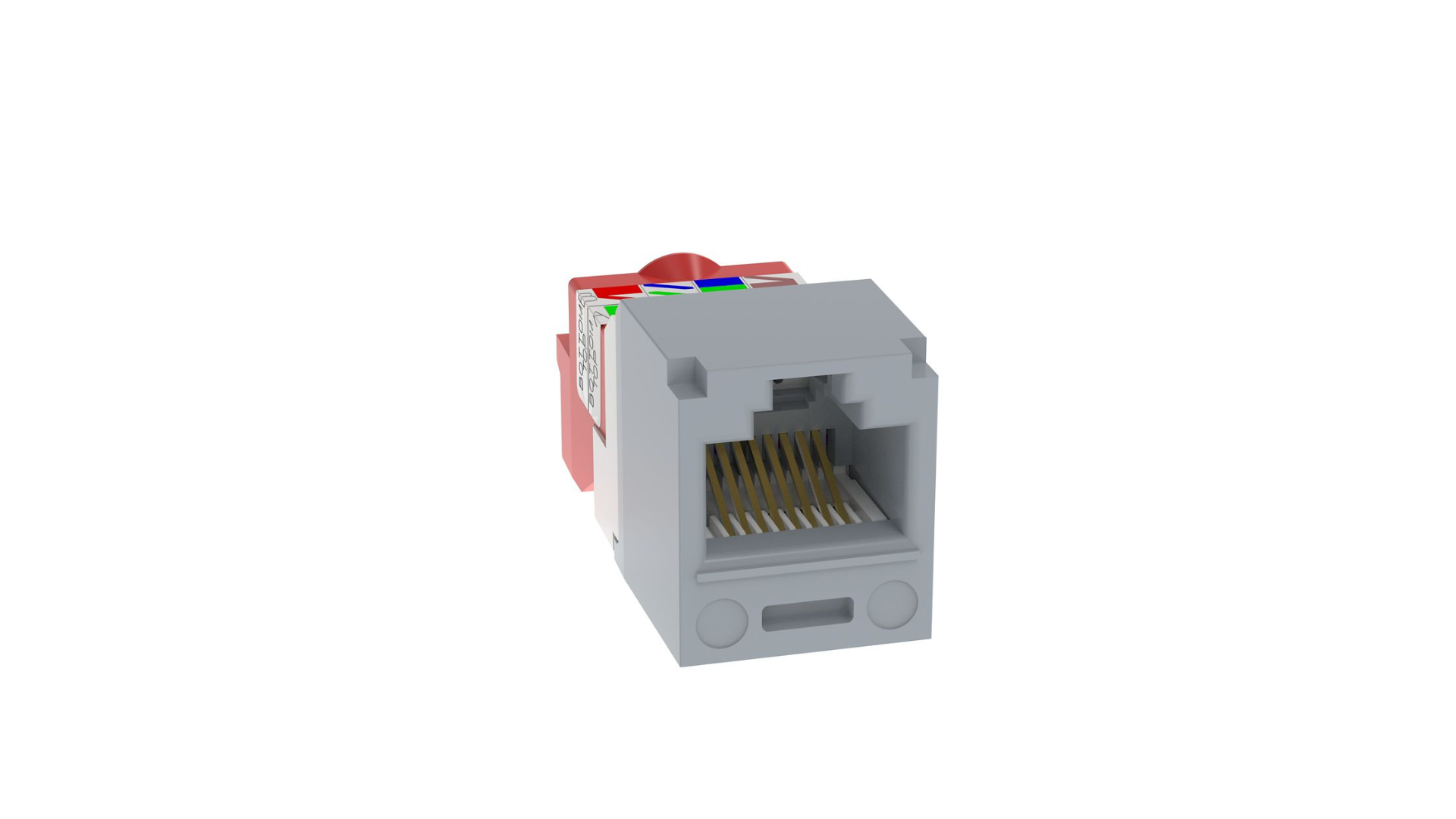 PAN-CJ5E88TIG_1 - e4f638d5-7c08-48b0-be16-1905bb4e7bc3.png