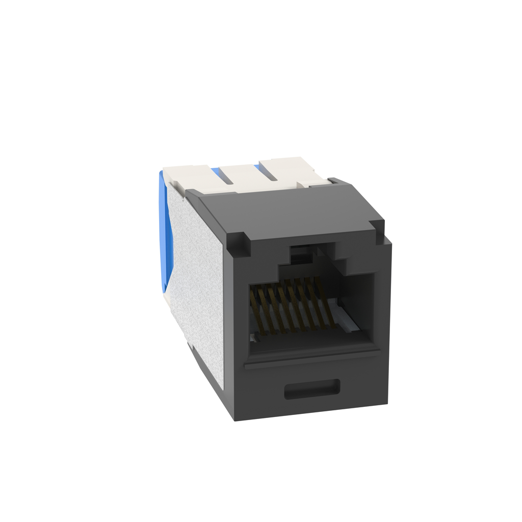 PAN-CJ6X88TGBL_1 - 7e8a82d3-c5e6-48f3-9291-dbb2b6db390c.png