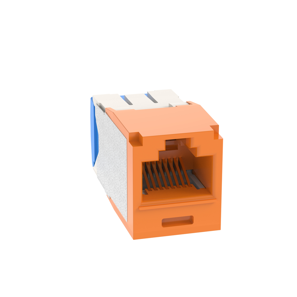 PAN-CJ6X88TGOR_1 - c3cbc021-0a95-4d83-9f75-2efc5d4f5220.png