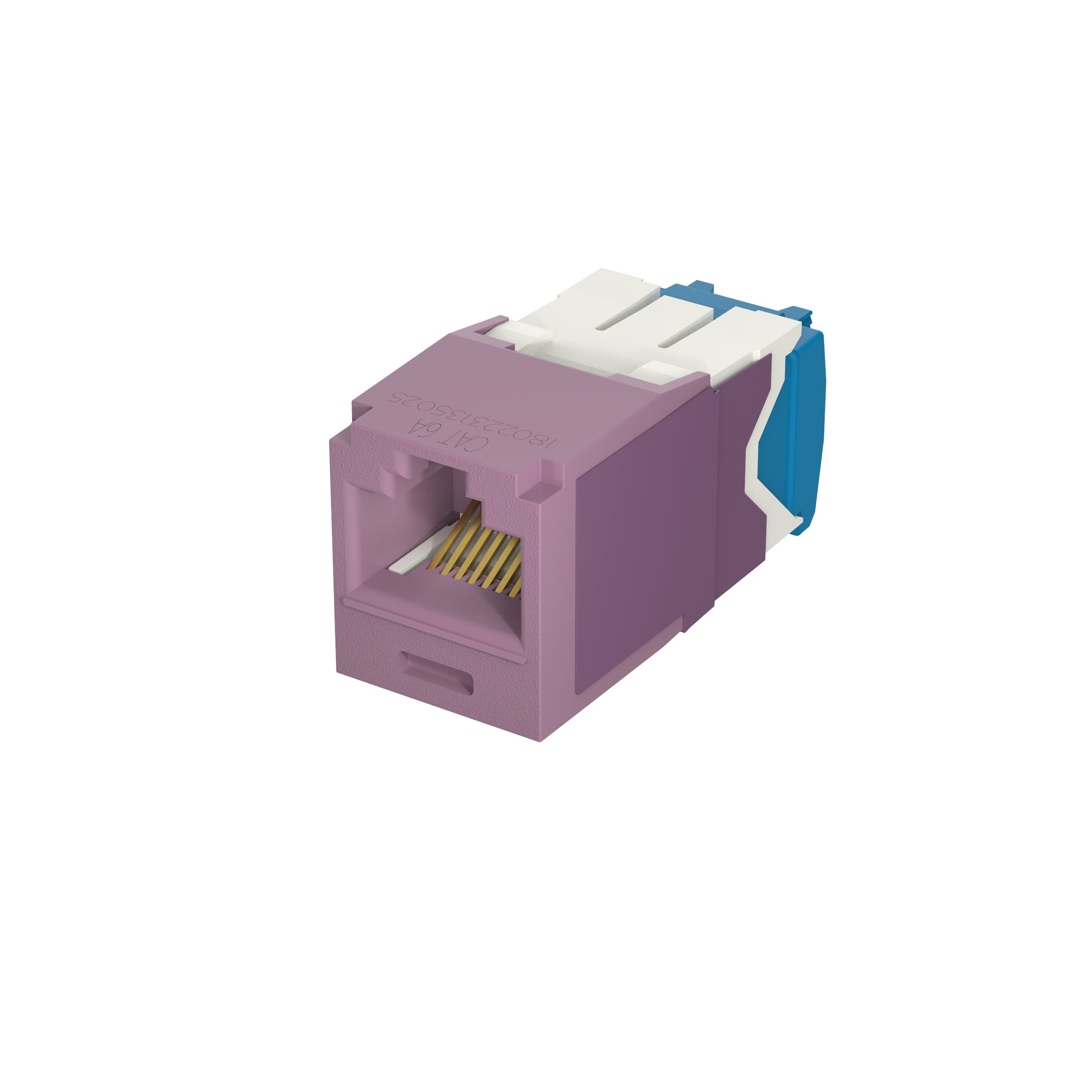 PAN-CJ6X88TGVL_1 - 40d11810-1694-4d52-bbcb-64baa76563fe.jpg