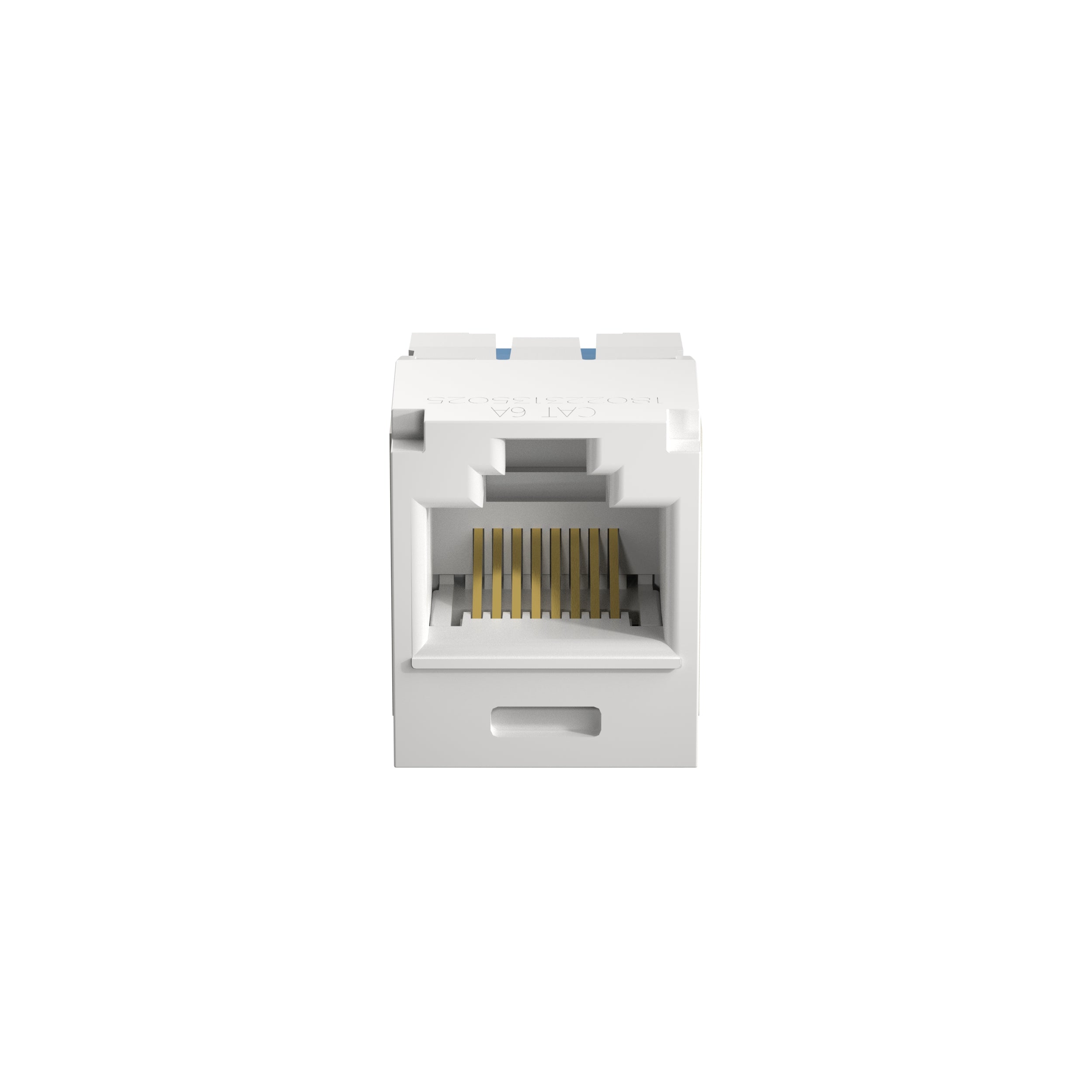 PAN-CJ6X88TGWH24_1 - c8bbd5b4-c407-4dbc-adeb-18f407dd77aa.jpg