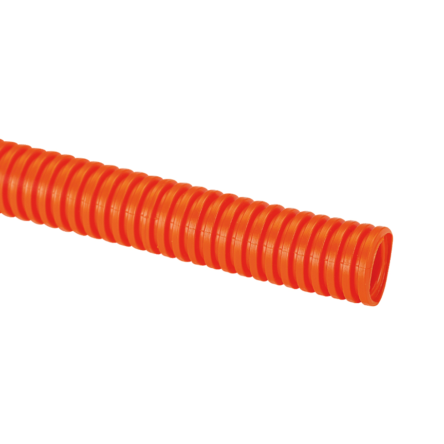 PAN-CLTS50F-C3_1 - a9897eb0-4bfa-4dd6-a8b3-fc374c552b54.png