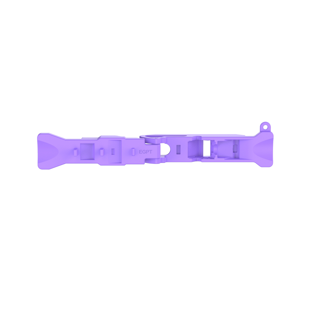 PAN-EGPT_1 - 9fbae523-4b10-4205-8cf9-66353ffe50cc.png