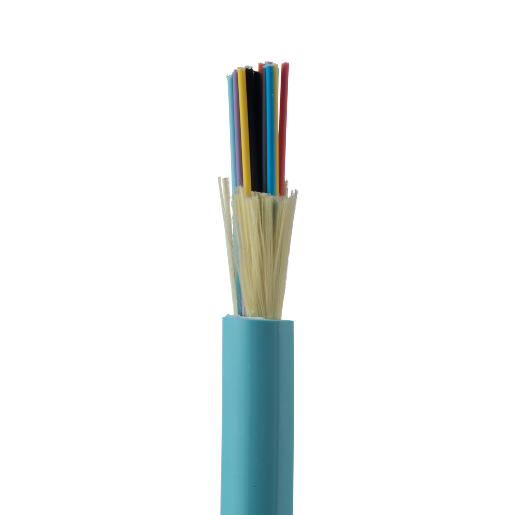 PAN-FODPZ24Y_1 - b9e6c6e9-502f-4422-b75a-9dd89d38b37b.png