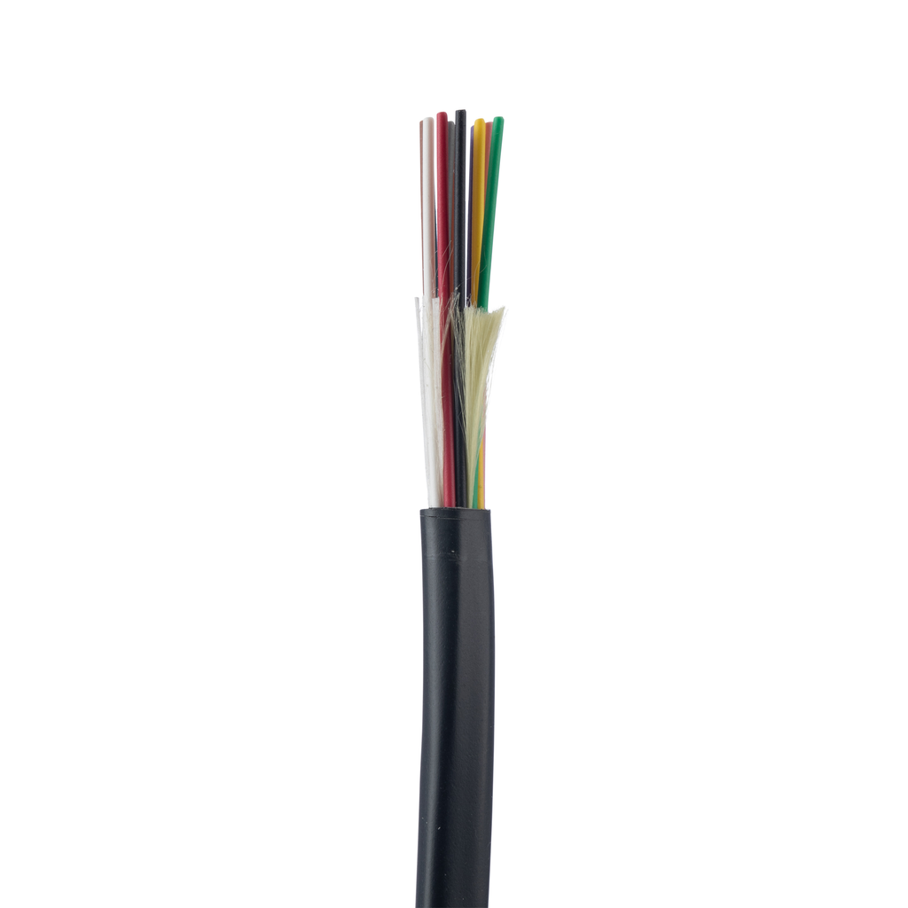 PAN-FOKPX06_1 - 3553eaa9-1f26-46ed-b2af-bc1b101f3b8a.png