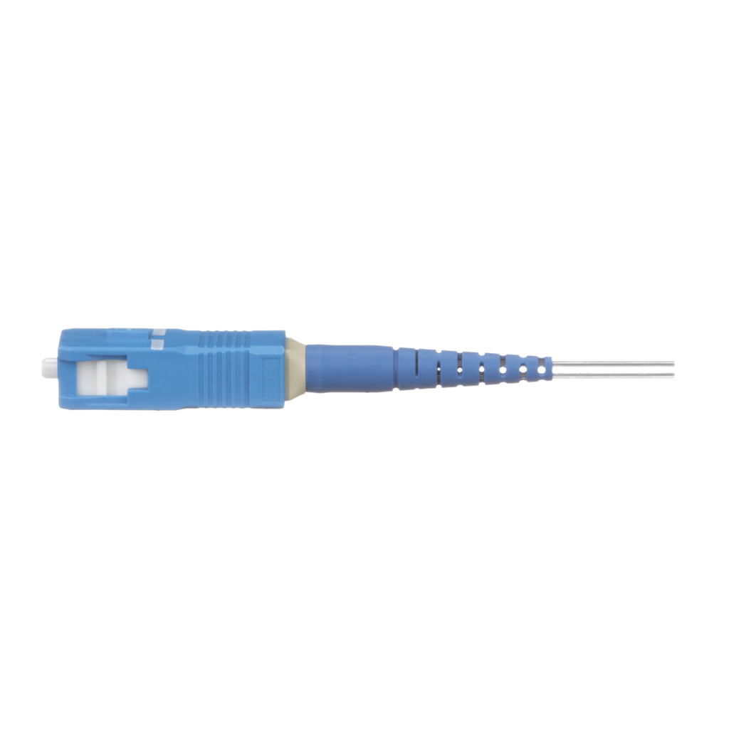 PAN-FSCS2_9SOCU9BU_1 - df7484f5-e3f5-43dc-88ee-508457772623.png