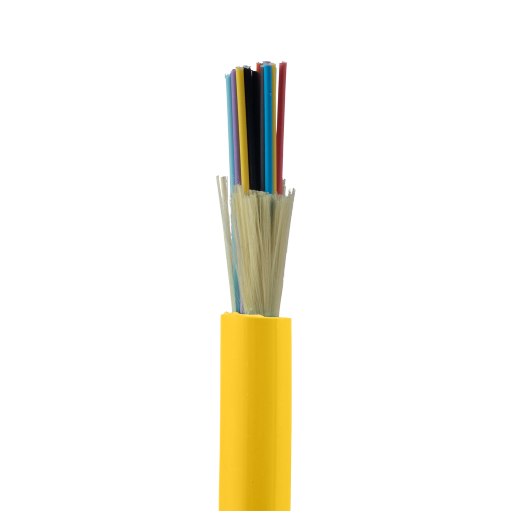 PAN-FSDP924Y_1 - ff10781a-f209-406b-bab8-7068a383bc3e.png