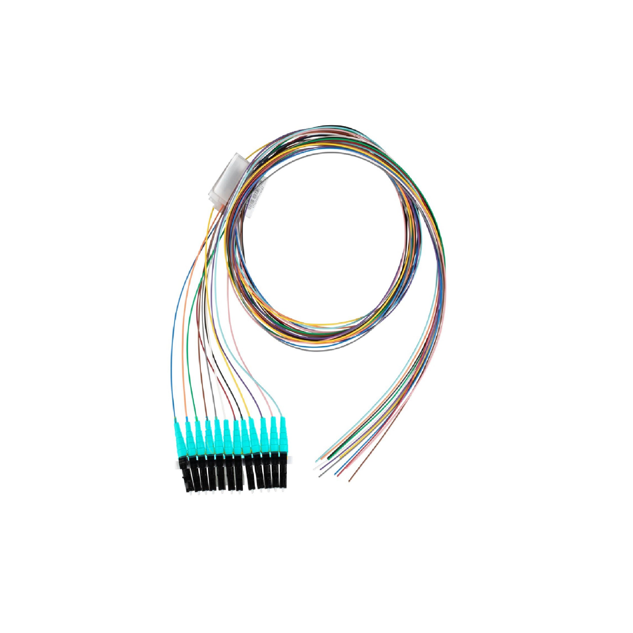 PAN-FZTBN1NNNSZM001_1 - 9ffeeffe-9403-46b3-ac1e-cdd81e125418.jpg