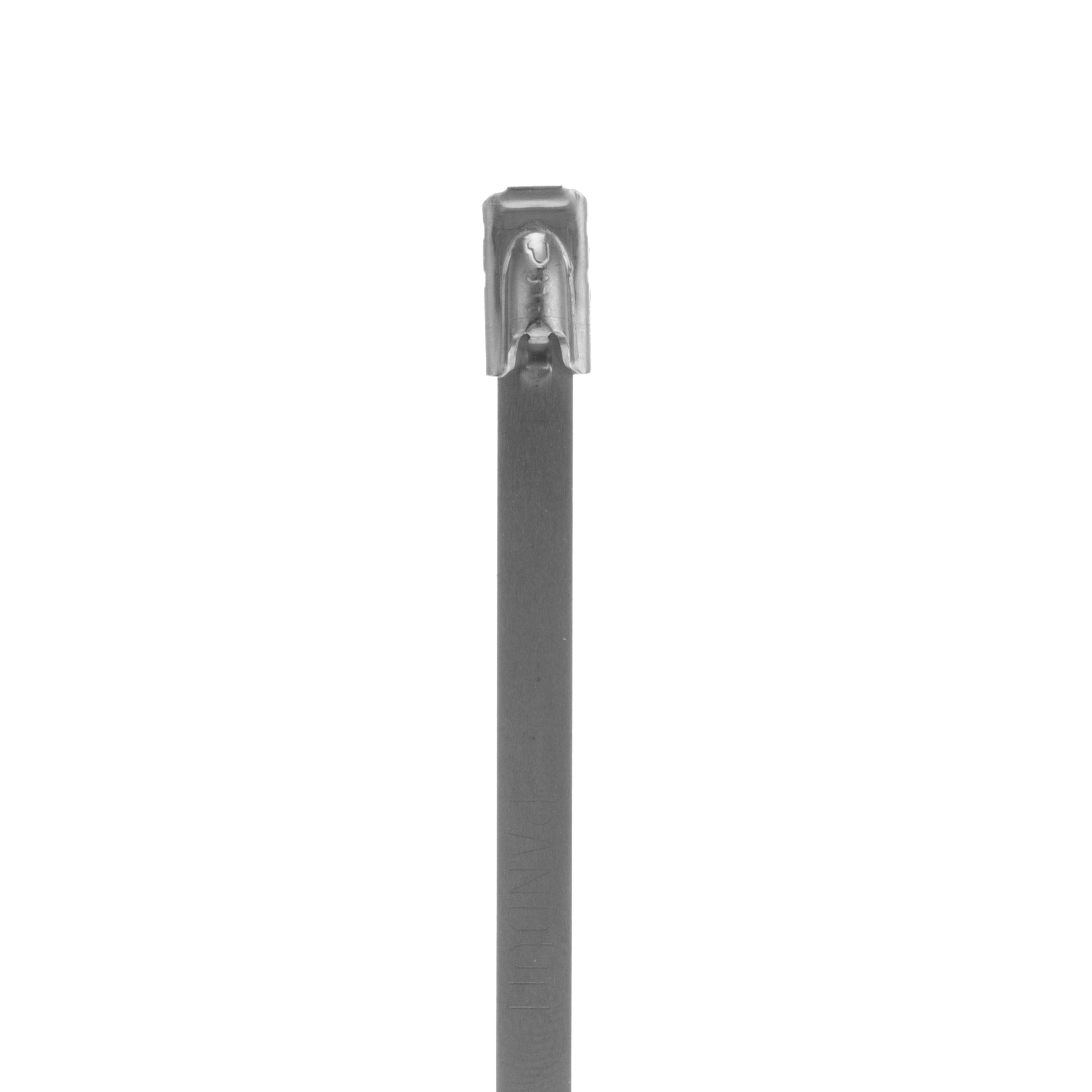 PAN-MLT4S-CP316_1 - 34e6a658-d1ff-4264-b48d-d4250028f03a.jpg