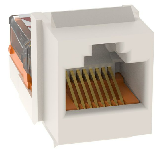 PAN-NK5E88MWHY_1 - ecd36530-1208-4b02-b3e6-fa1e4f265b03.png