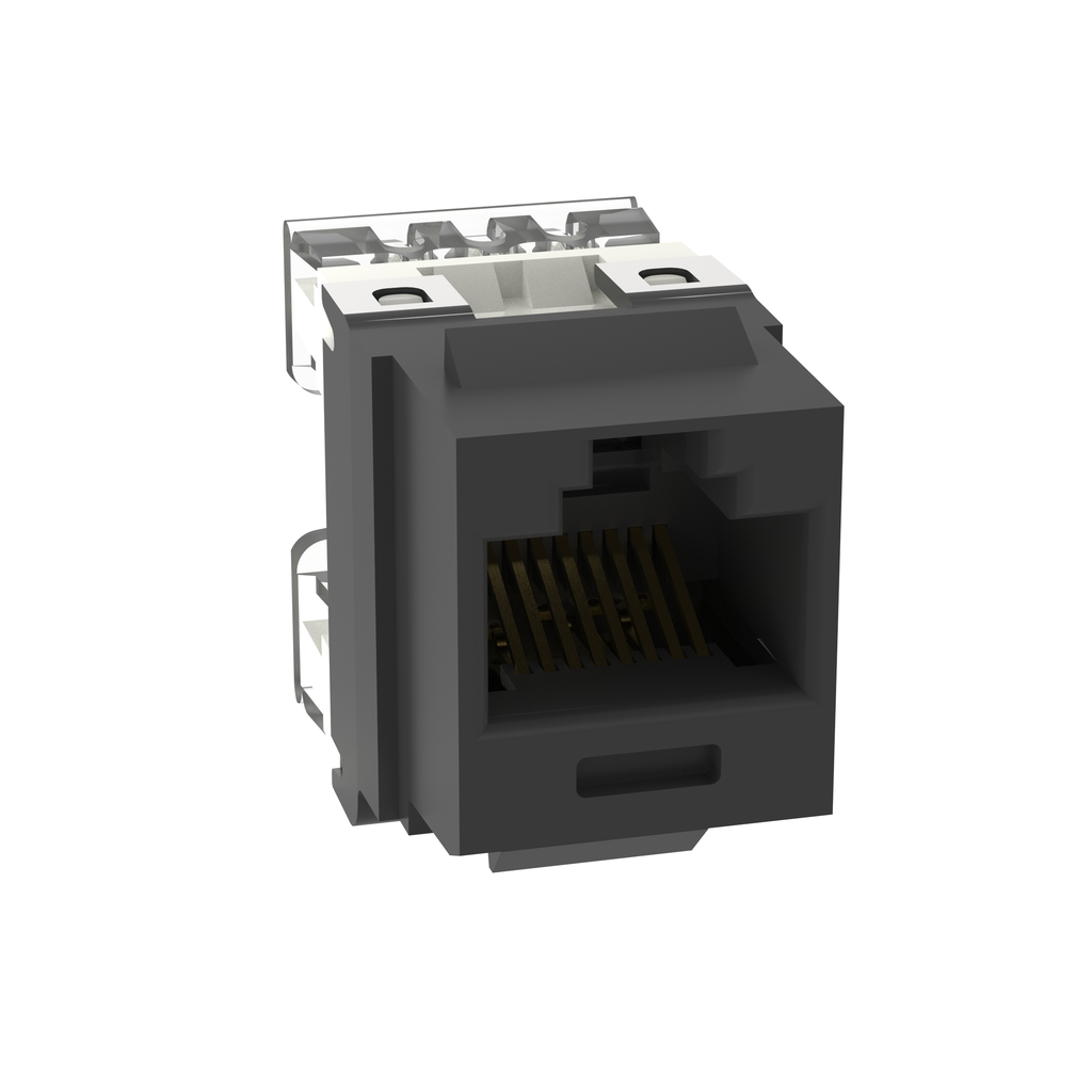 PAN-NKP5E88MBL_1 - 153e69ed-6508-4be0-983a-39007350b411.png