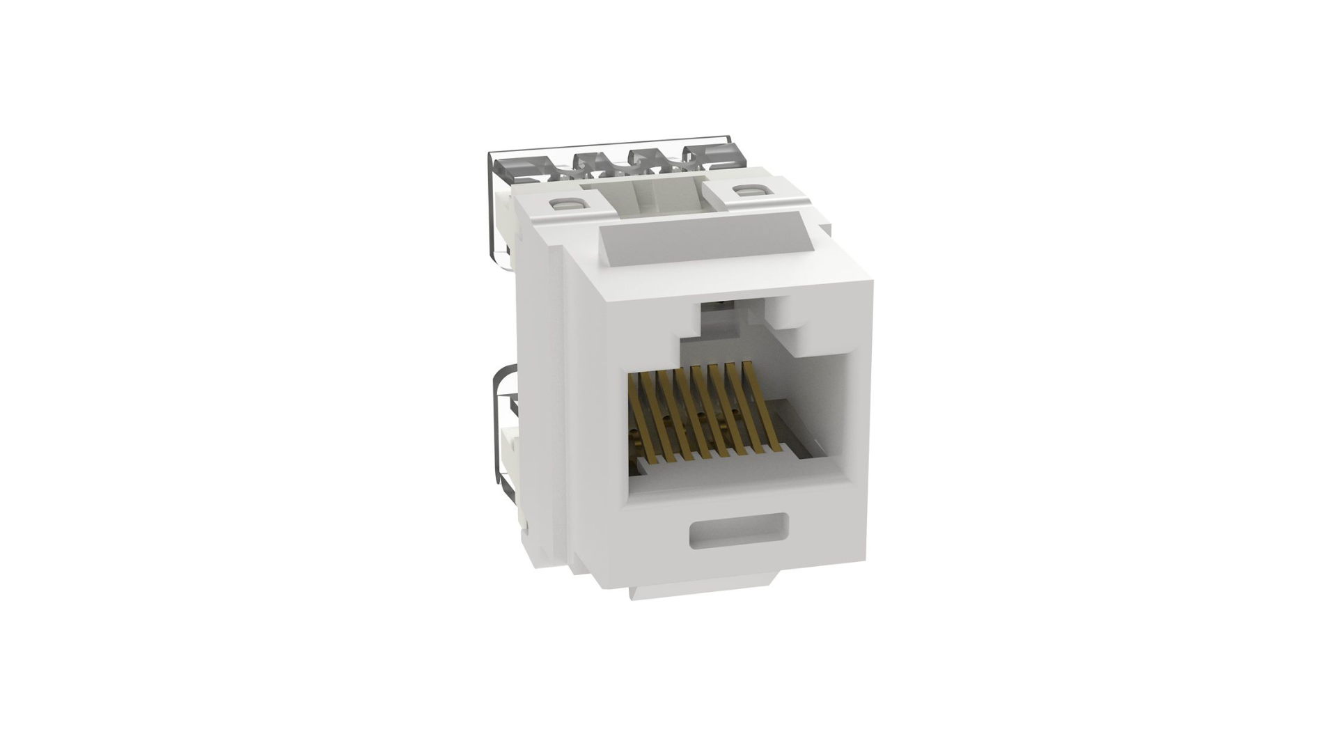 PAN-NKP5E88MWH-Q_1 - 670b6e07-3889-4dba-bf62-3206cd00dead.png