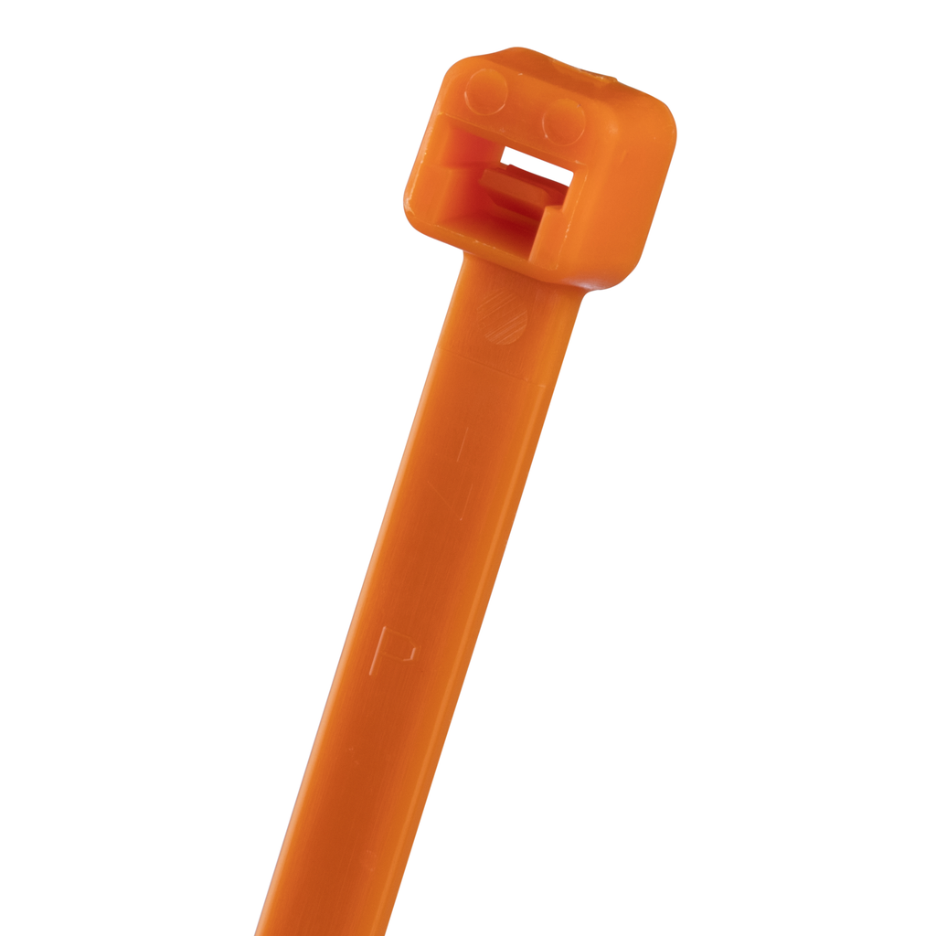 PAN-PLT2S-C3_1 - 11597364-4ee6-4c97-8a12-5e47d80051fd.png