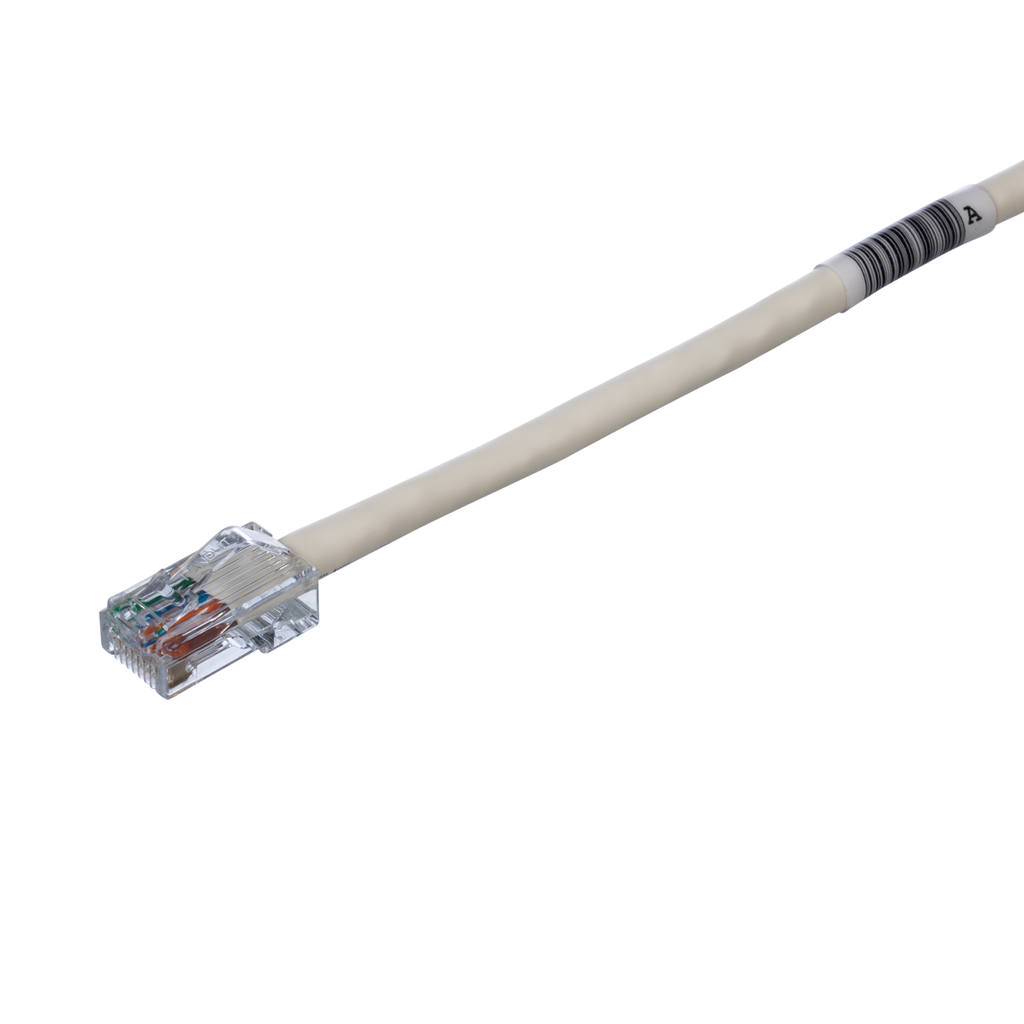 PAN-UTPCH10Y_1 - ada378e8-59e0-4faa-8cc6-425992b3b30b.png