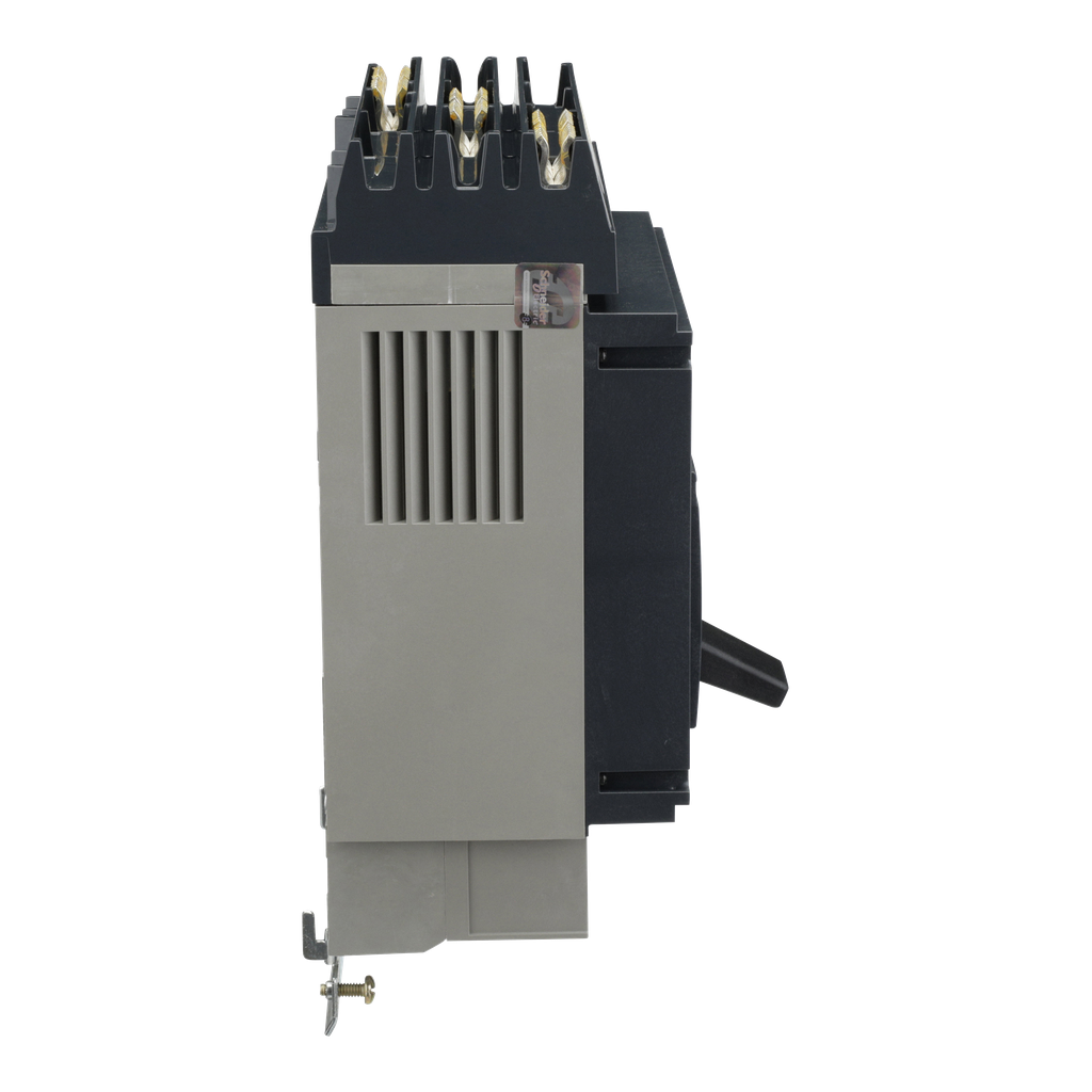 SCH-PLA34080_1 - 7e34e1fe-4abe-42af-ae47-ddea1f9dba50.png