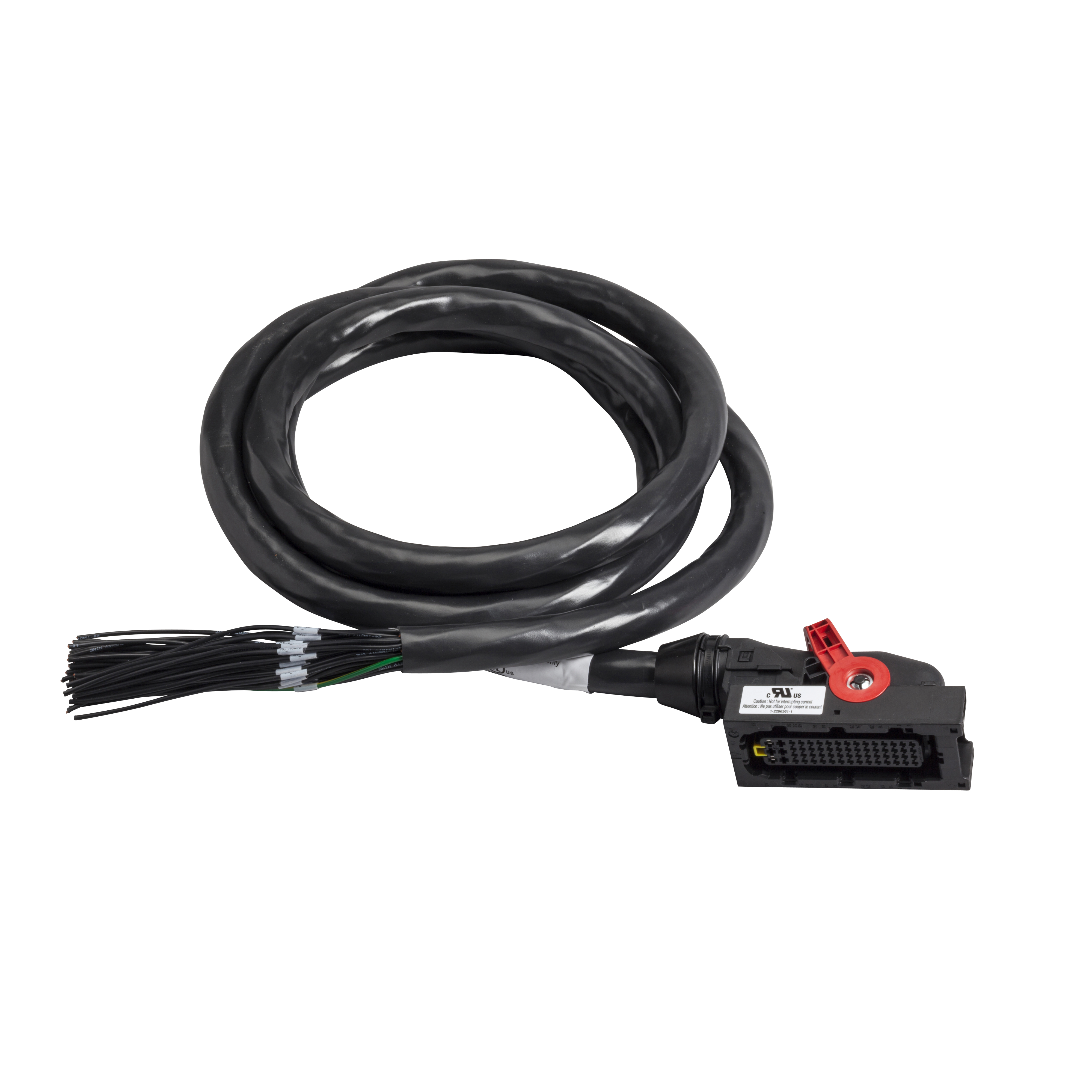 SCH-ZARC12_1 - ede4fd3a-c9df-4a38-815c-da68f900119d.png