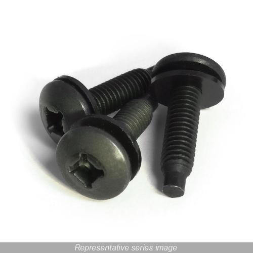 SCREW103250_1 - dfef66ea-31d1-4d5f-abd3-32afa7c9d48c.jpg