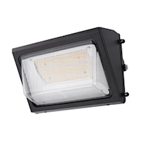 SNF-WP100-SCT-G2-10-BZ.jpg