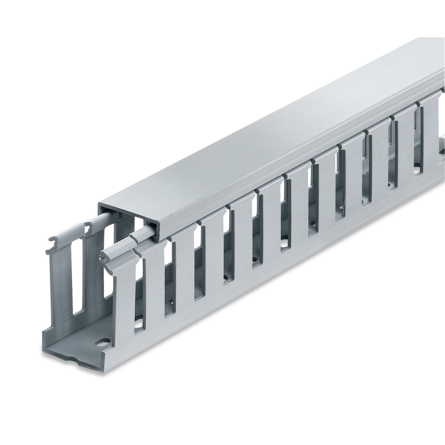 TAB-TYD15X15WPG6_1 - beef55fd-edc9-4d70-8b62-38c881df5247.jpg
