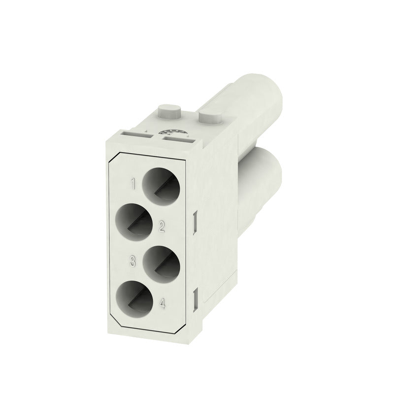 WEI-1428950000_1 - 21295f94-7242-4b44-9ad1-cade305d8ce3.jpg