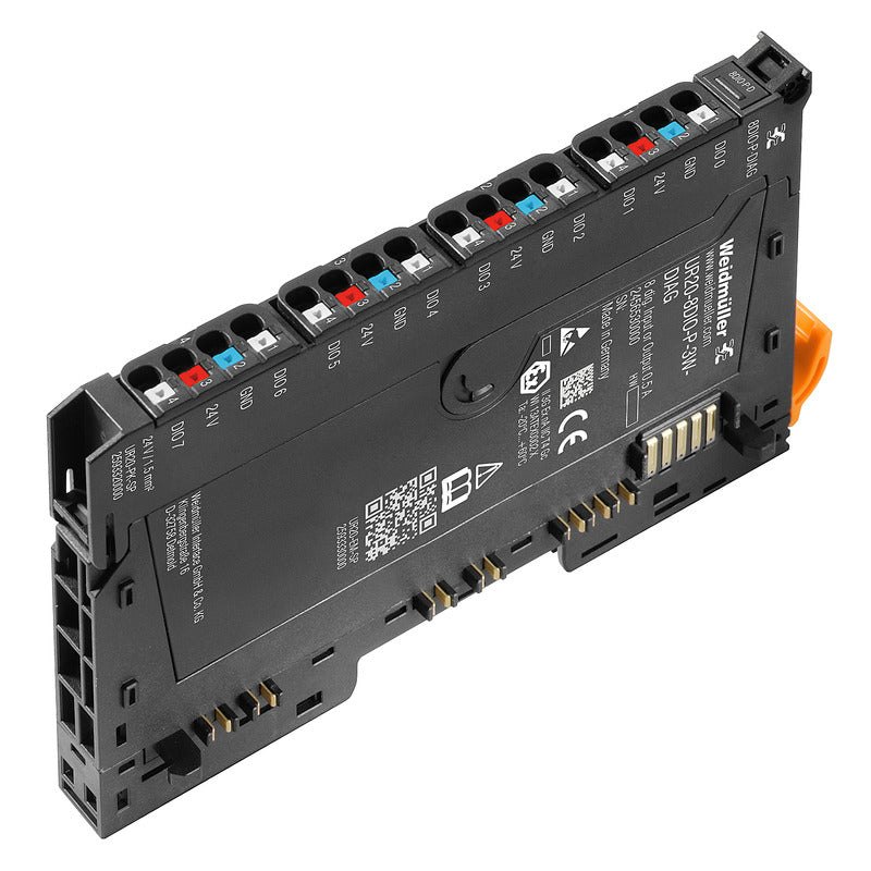 WEI-2456530000_1 - 5ec0e88a-94d0-4702-ba74-5e15798eab37.jpg