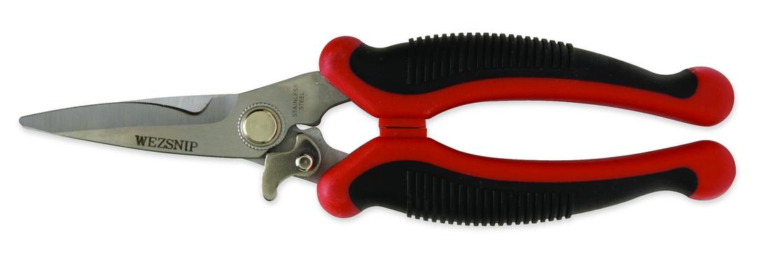 WEZSNIP_1 - b3ce9e3f-6f4f-46f4-bbea-3b3efdfa8d01.jpg