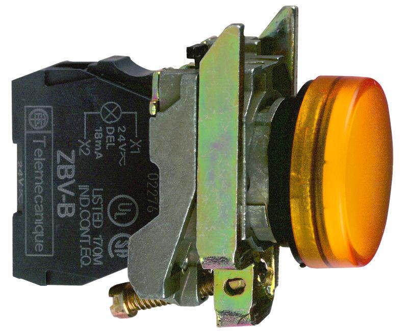 XB4BVB5_1 - 2708ec3f-bf5c-485a-8f18-b531f08cf94b.jpg