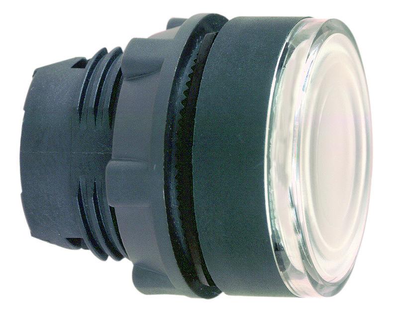 ZB5AW313_1 - 62fd5aab-2415-4ac6-8975-55752d6d0d3a.jpg