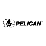 Pelican